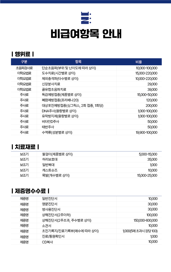 비급여항목 이미지